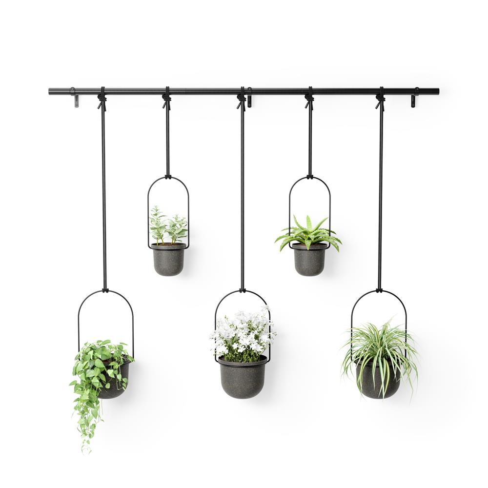 Umbra Triflora Vase in Schwarz, 5er-Hängeblumentopf für Wand- und Deckenmontage