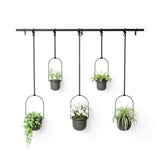 Umbra Triflora Vase in Schwarz, 5er-Hängeblumentopf für Wand- und Deckenmontage
