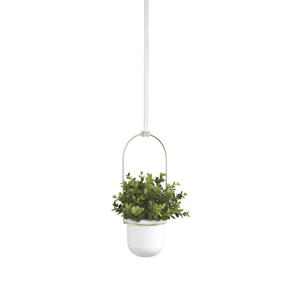 Umbra Triflora Vase Hängeblumentopf Wandvase Blumenampel für Wand und Decke 3er-Set Weiß/Messing