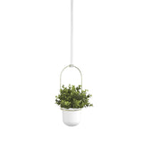 Umbra Triflora Vase Hängeblumentopf Wandvase Blumenampel für Wand und Decke 3er-Set Weiß/Messing