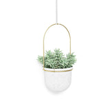 Umbra Triflora Vase in Weiß/Messing, 5er-Hängeblumentopf für Wand- und Deckenmontage