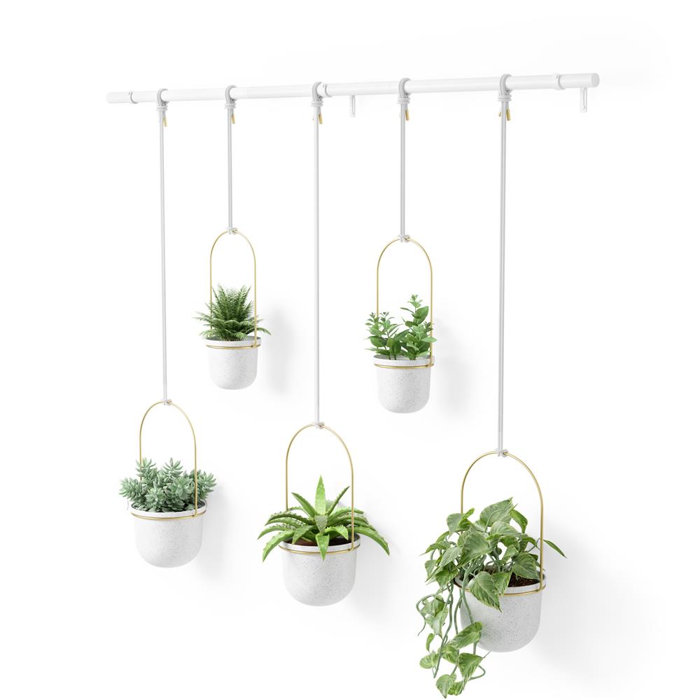 Umbra Triflora Vase in Weiß/Messing, 5er-Hängeblumentopf für Wand- und Deckenmontage