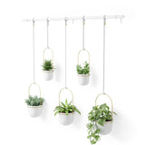 Umbra Triflora Vase in Weiß/Messing, 5er-Hängeblumentopf für Wand- und Deckenmontage