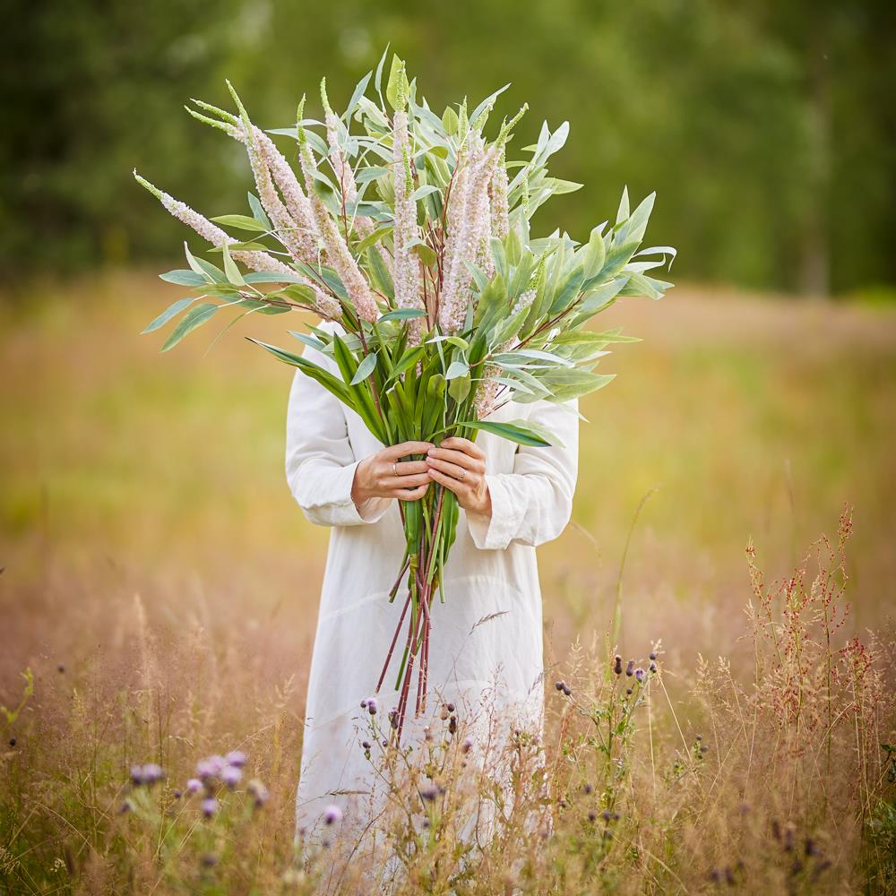 Bloomingville Foxtail Kunstblume Stiel Rose 73cm