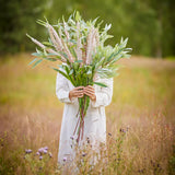 Bloomingville Foxtail Kunstblume Stiel Rose 73cm