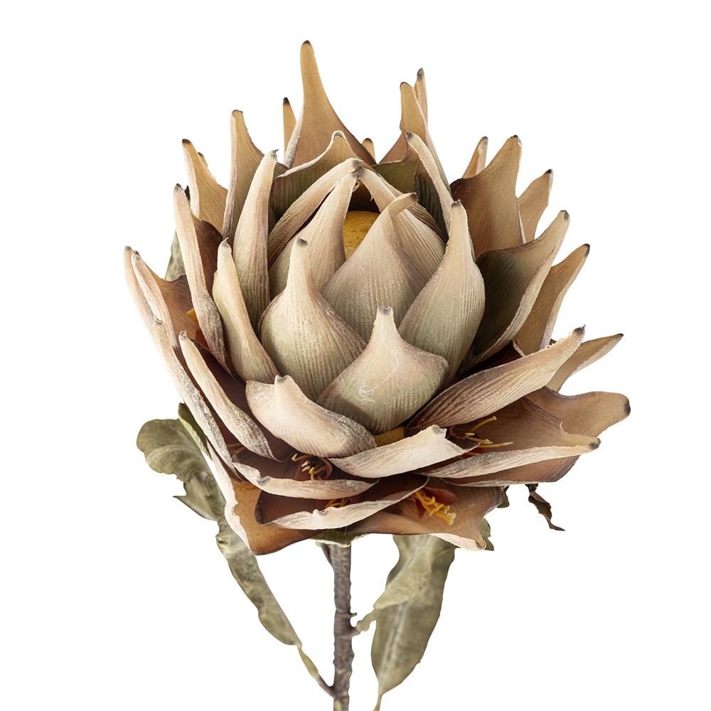Bloomingville Protea Kunstblume Natur Stiel 76cm Dekoblume